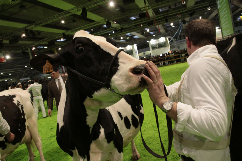 Fieragricola: Assessore Pan inaugura stand Regione Veneto e presenta nuovi bandi del PSR