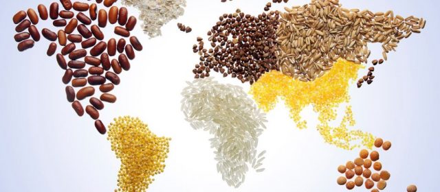 Giornata mondiale dell’alimentazione e Giornata mondiale del rifiuto della miseria