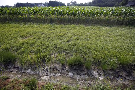 Pfas: Lorenzin, valori scesi in Veneto