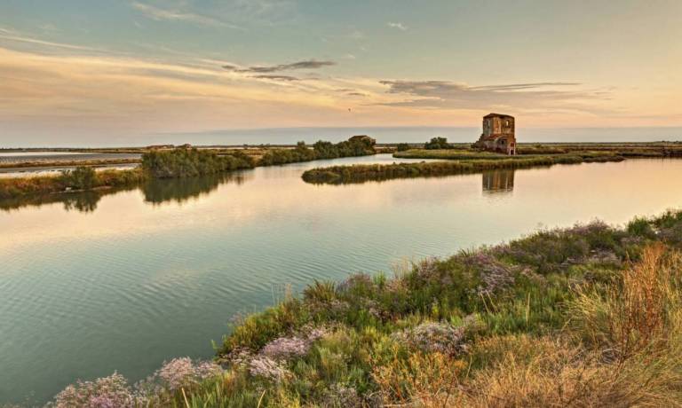 Manovra: nasce Parco unico Delta del Po