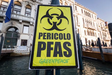 Esposto M5S su PFAS. Assessore ambiente Regione Veneto. “Ben, così esce la verità. Noi primi in Procura nel 2013. In Veneto vige limite zero. Al Governo ministro in confusione”.