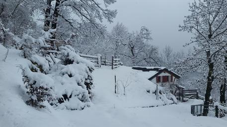 Maltempo, nuova nevicata in Veneto