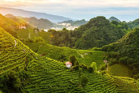 Prosecco: ‘manifesto’ del Consorzio Docg