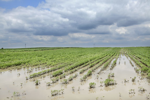 Maltempo: Regione Veneto chiede 27,5 mln di euro per danni da avversità atmosferiche di maggio