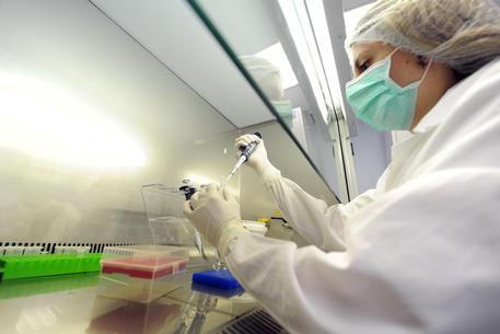 Sanita’. Nuovi 90 medici specializzandi finanziati dalla regione oltre ai 400 del MIUR. Lanzarin, “un impegno portato avanti con determinazione negli ultimi anni”
