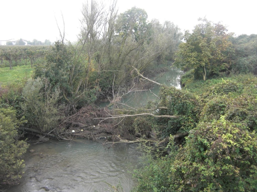 Difesa del suolo. 500 mila euro per sistemazione delle opere idrauliche dei bacini orientale. Bottacin: “Tanti interventi manutentivi a garanzia della sicurezza del territorio”