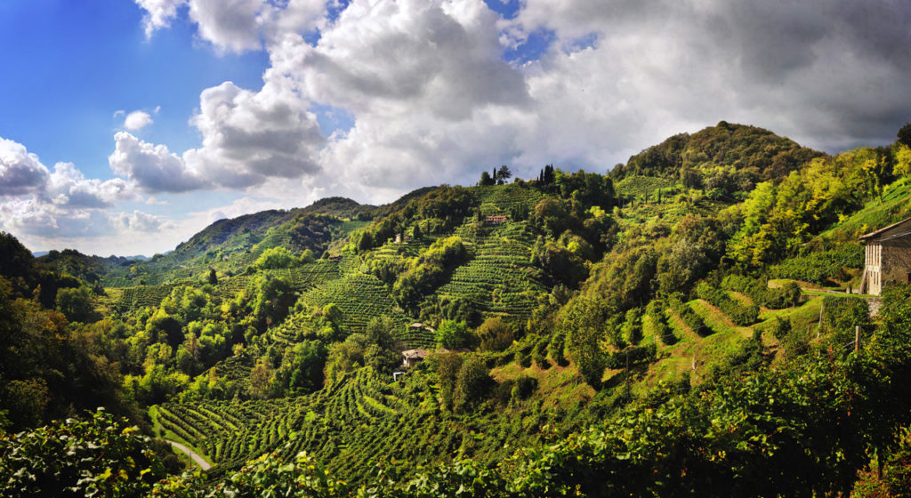 Unesco. Domani alle 11 in Regione punto stampa di Zaia su Colline Conegliano-Valdobbiadene