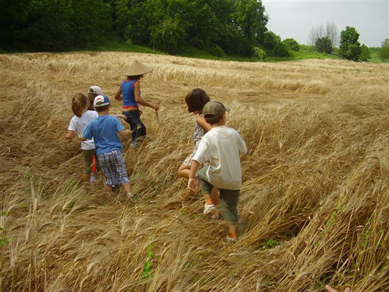 Fattorie didattiche: ritorna il concorso per i più piccoli ‘Agricoltura che Avventura’, in palio materiale per la scuola e lo sport e biglietti per il cinema