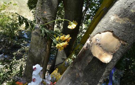 13nne guida auto e finisce contro albero