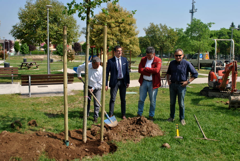 Regione Veneto: 200 mila euro ai Comuni per nuovi alberi. Assessore Pan, “Non lasciamo cadere la lezione di Vaia, la riforestazione contrasta i cambiamenti climatici”