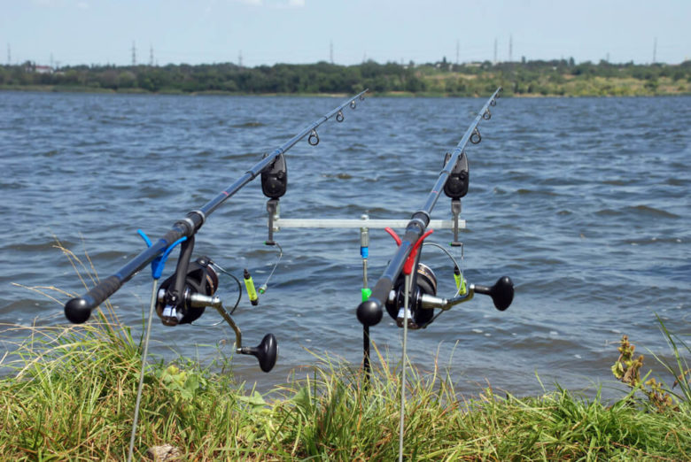 Pesca sportiva: stop a catture di trote marmorate e lucci, Regione Veneto aggiorna regolamento