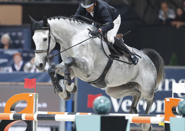 Fieracavalli 2019: appuntamenti del Presidente Luca Zaia