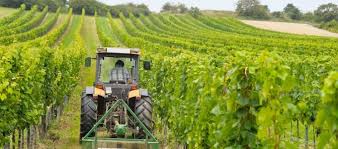 Agricoltura: Patto regionale Veneto-Coldiretti per facilitare incontro domanda e offerta di lavoro per stagionali – Donazzan e Pan, “Primo passo verso convenzione quadro con tutto le sigle del mondo agricolo”