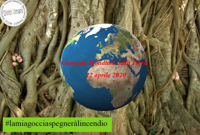 Coordinamento nazionale diritti umani. Domani Giornata mondiale della Terra 2020