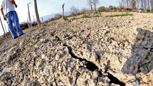 Agricoltura: Assessore Pan, “Non piove da mesi, autorizzata l’irrigazione di soccorso con assegnazioni di carburante agevolato”