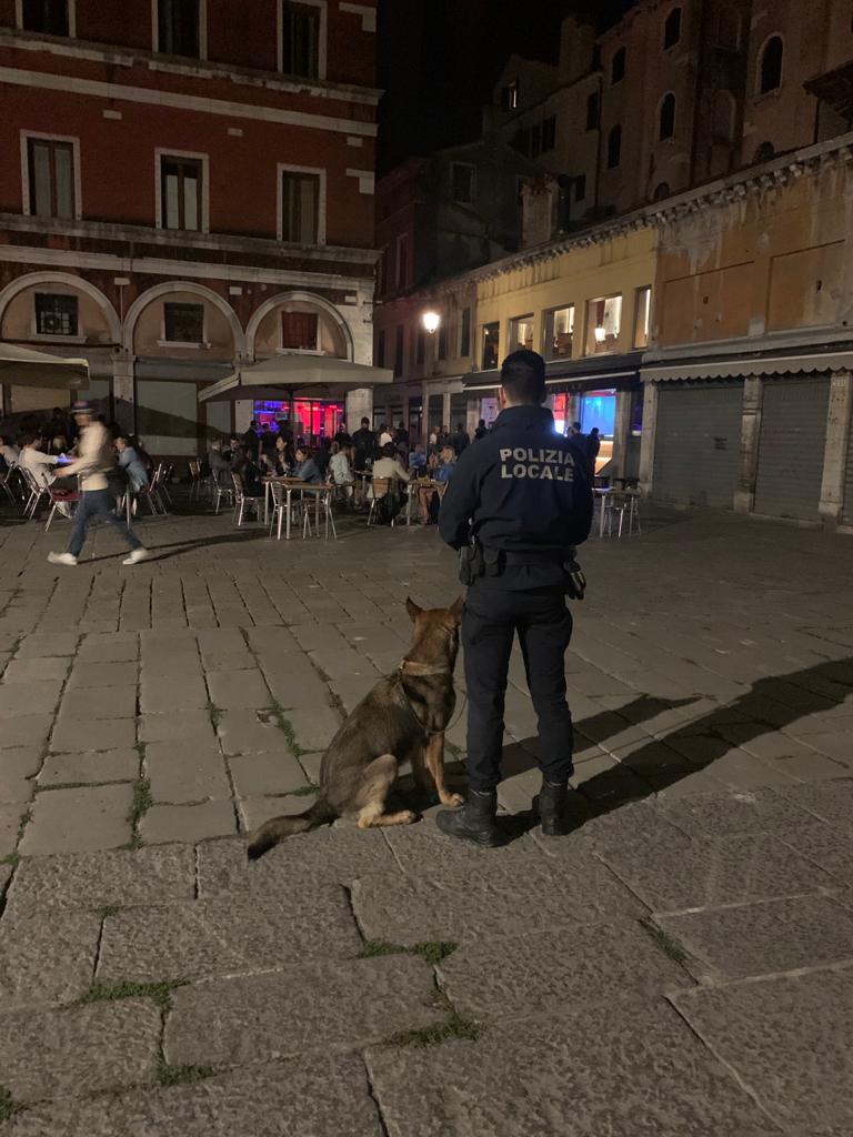 Controlli della Polizia locale nel weekend, denunce per uso di sostanze stupefacenti e guida in stato di ebbrezza
