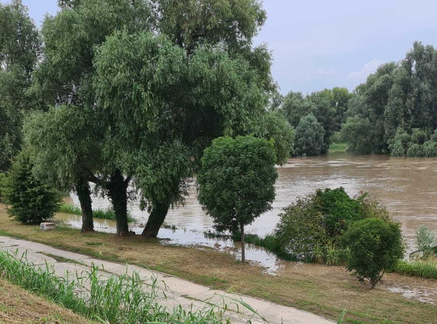 Meteo. Adige e Tagliamento ingrossati dal maltempo, stato di attenzione per alcuni bacini idrografici del Veneto