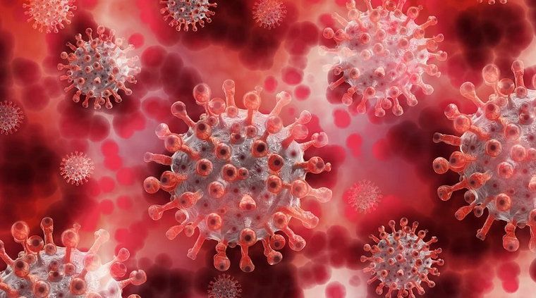 Covid. Lo studio del prof. Baldo sulla prevalenza di positività in Veneto