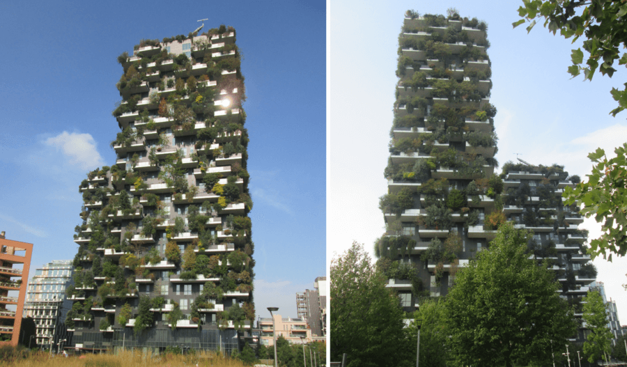 Architettura diversamente applicata: il fascino esclusivo del Bosco Verticale