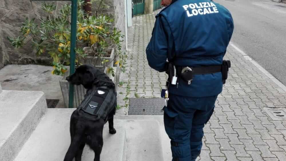 Baby gang a Verona, dal Cosp il pugno duro. Presidio nei luoghi a rischio e impiego di unità cinofile e prevenzione