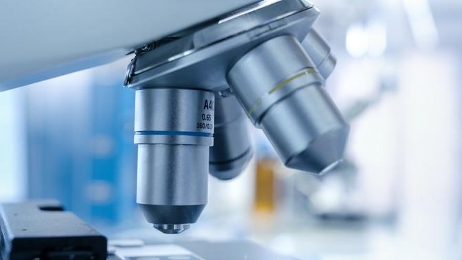 Primo test genomico per curare il cancro al seno individuato dall’Università di Padova. Zaia, “Ancora protagonisti di una prima mondiale””