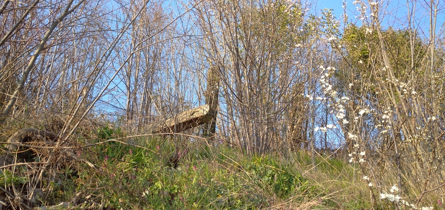 L’Altra Verona… Un pesante cippo in bilico nella scarpata su via Fedrigoni