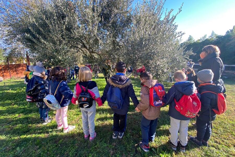 Avviati i laboratori di educazione alimentare, ambientale e civica per 2000 studenti veronesi